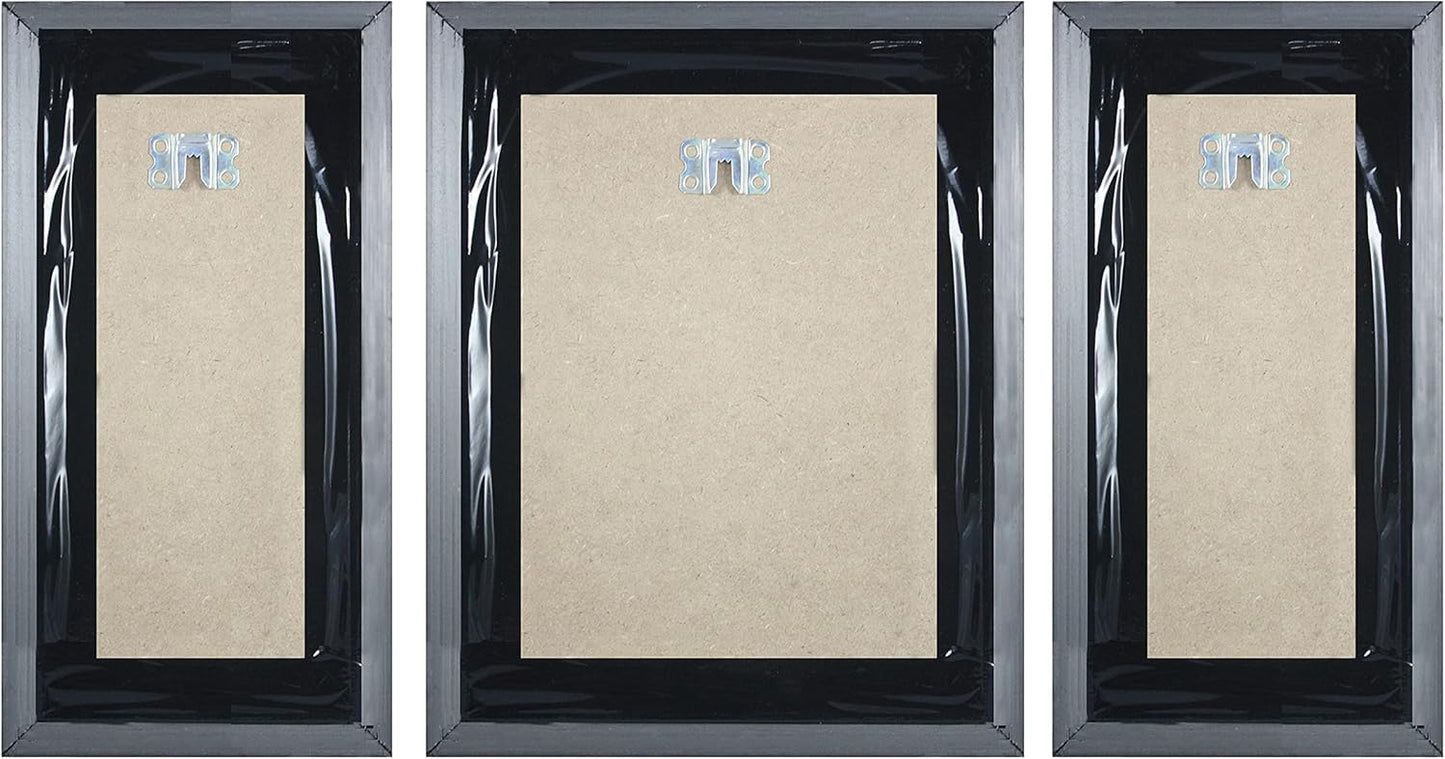 Curated Botanical Gallery Art Trio