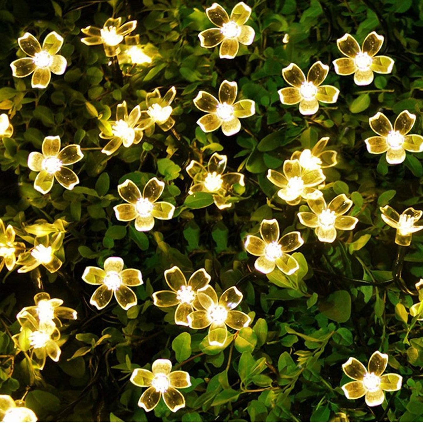 300 LED Plastic Fairy Curtain Lights – 3x3M Warm White | USB Powered | 8 Flashing Modes | Perfect for Wall & Window Decoration